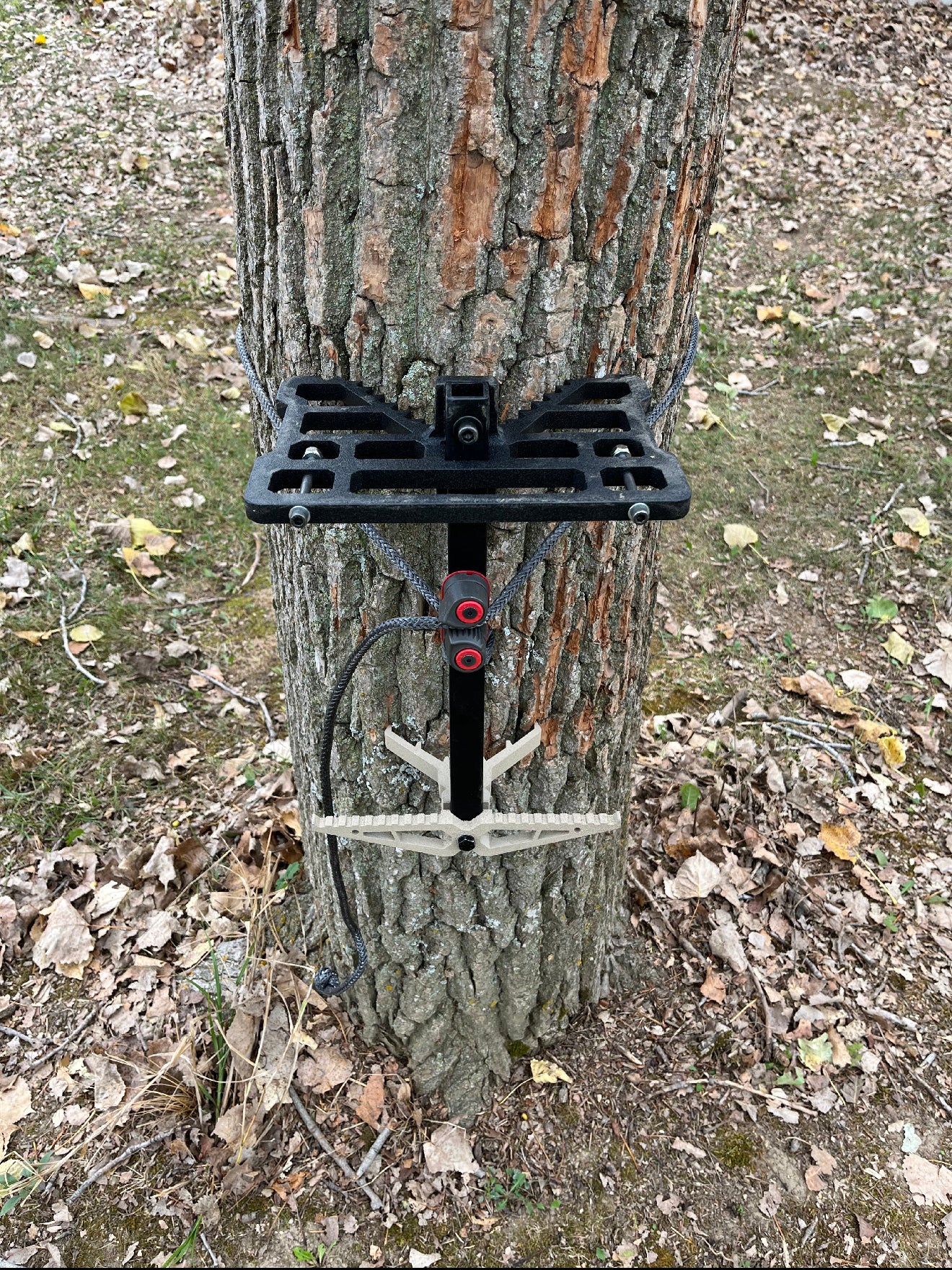 Baby Daddy  Bottom Step/Platform